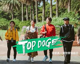 91仓库《TOP DOG》免费在线观看