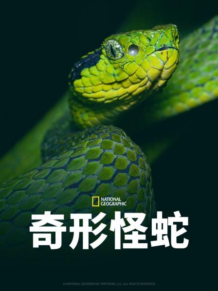 91传媒《奇形怪蛇》免费在线观看